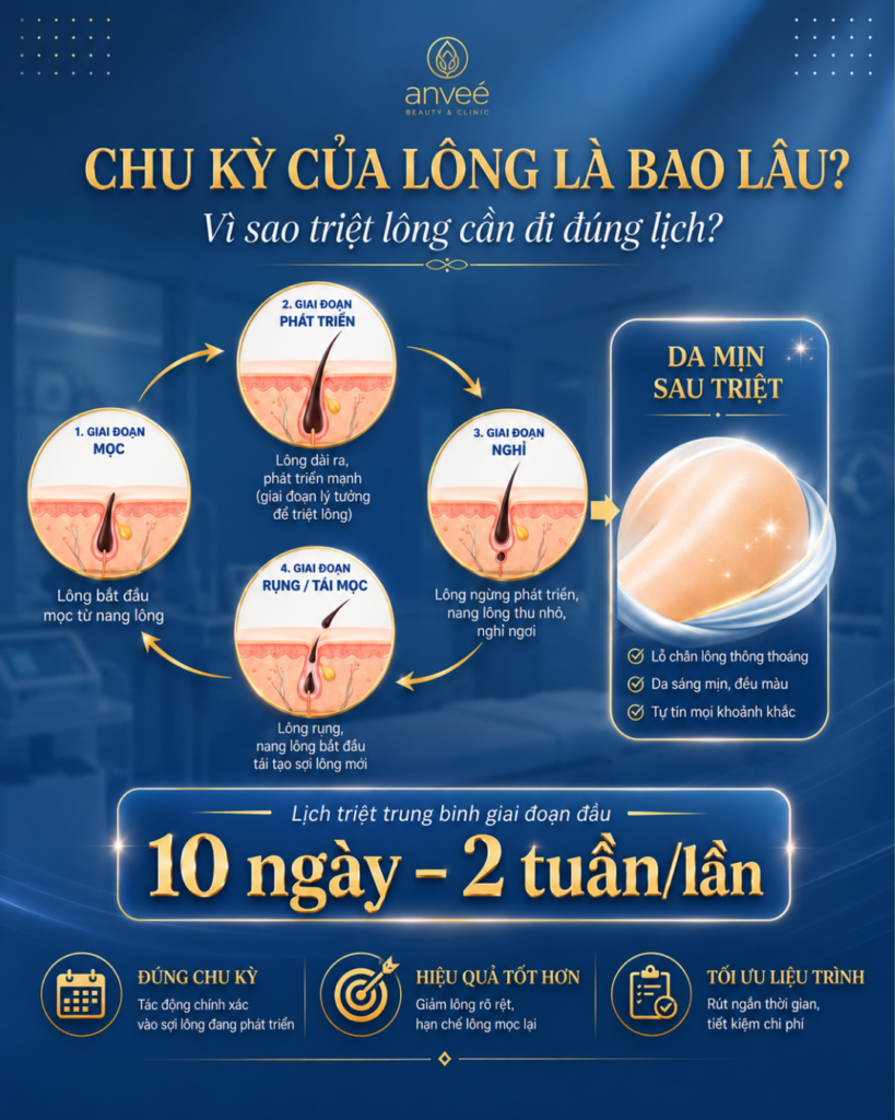 chu kì của lông